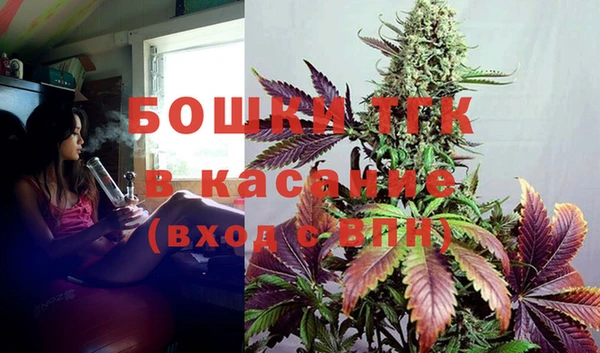 ECSTASY Дмитриев
