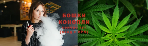 ECSTASY Дмитриев