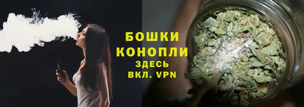ECSTASY Дмитриев