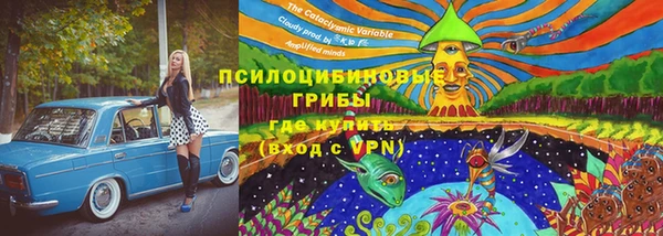 ECSTASY Дмитриев