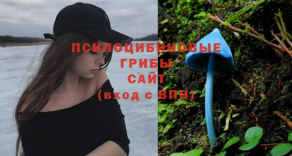 ALPHA-PVP Дмитровск