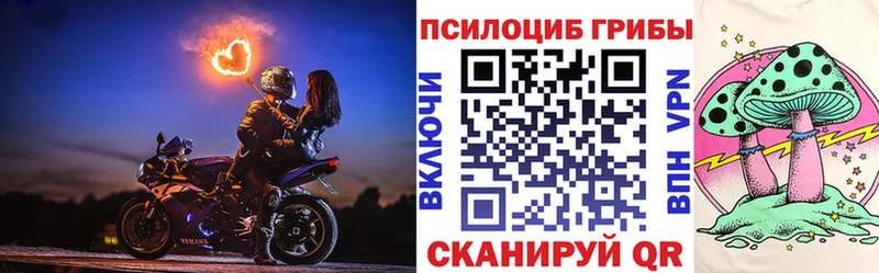 купить сайты Западная Двина Псилоцибиновые грибы Psilocybe
