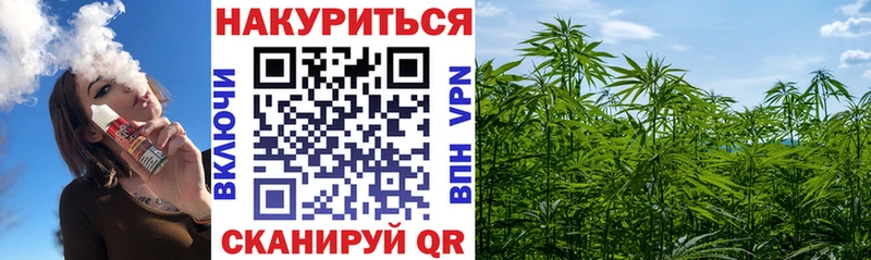 Бошки марихуана ГИДРОПОН  купить наркотики цена  Западная Двина 
